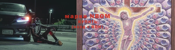 гашик Алзамай
