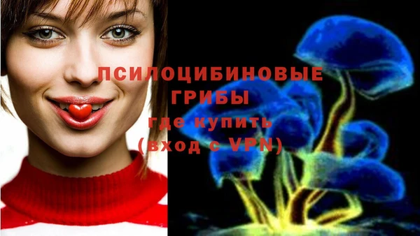 гашик Алексеевка