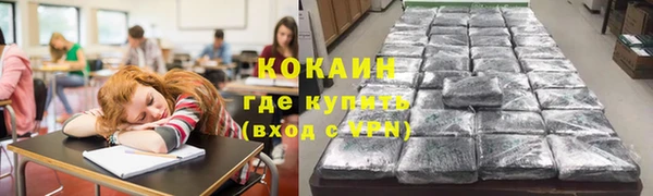 гашик Алзамай