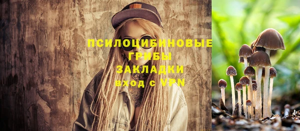 гашик Алексеевка