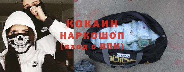 гашик Алзамай